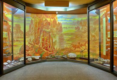 Exhibition "Cainozoic era"