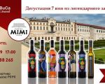 Degustarea a 7 vinuri din legendarul Castel MIMI
