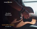 Guitar Festival