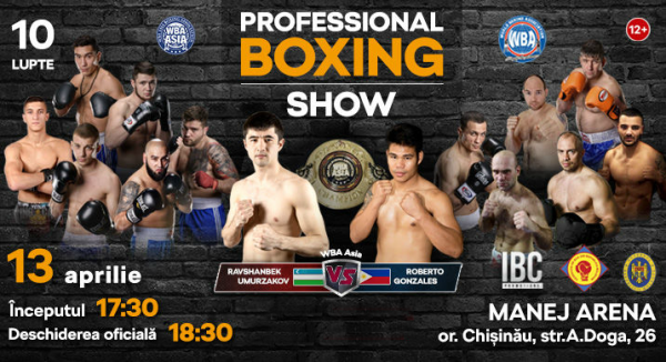 Professional Boxing show