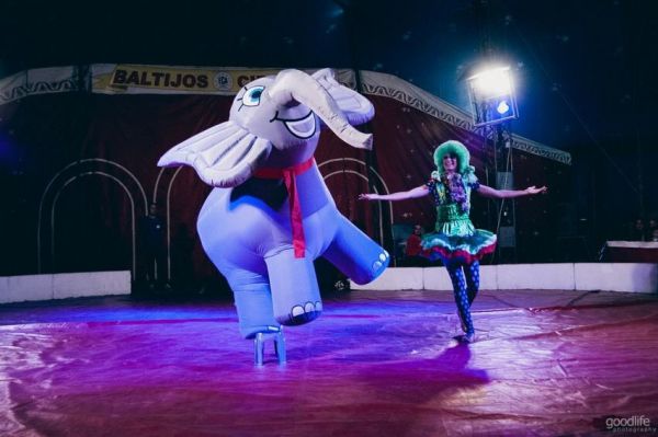 Magic Circus