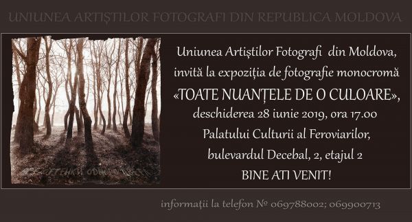 Photo exhibition "All shades of the same color"