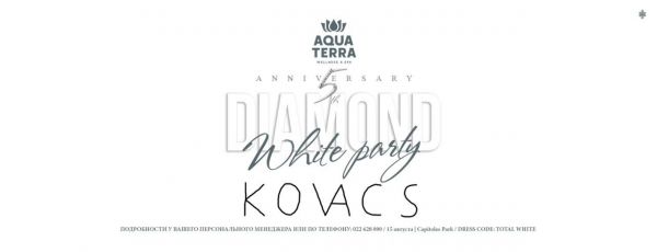 Diamond White Party
