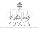 Diamond White Party