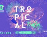 Kangaroo Tropical Party