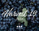 Harvest 2019