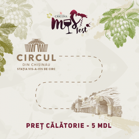 Must Fest 2019