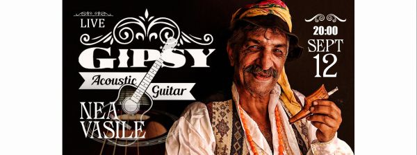 Gipsy Acoustic Guitar!