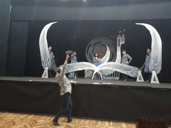 Спектакль "Дикие лебеди"