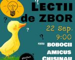 Lectii de Zbor pentru Boboci