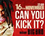 Party with dj Big Bro!