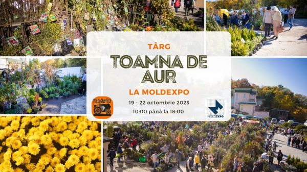 Târgul "Toamna de Aur"