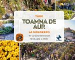 The "Golden Autumn" Fair