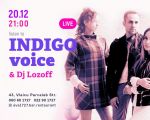 Indigo Voice