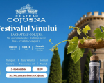 День вина в Chateau Cojusna