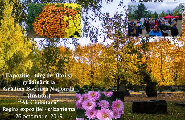 Târg de flori și grădinărit