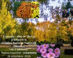 Târg de flori și grădinărit