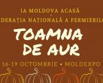 Toamna de Aur