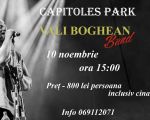 Vali Boghean Band