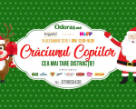 Crăciunul Copiilor