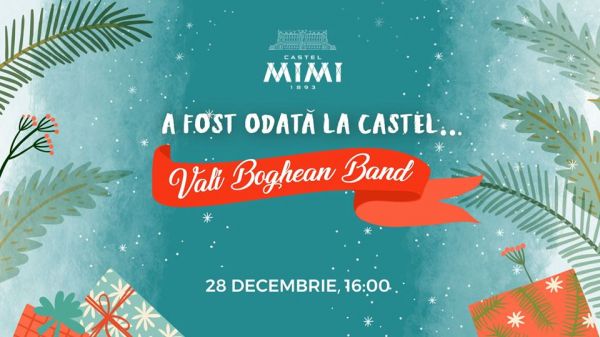 Однажды в замке. Vali Boghean Band