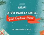 Однажды в замке. Vali Boghean Band