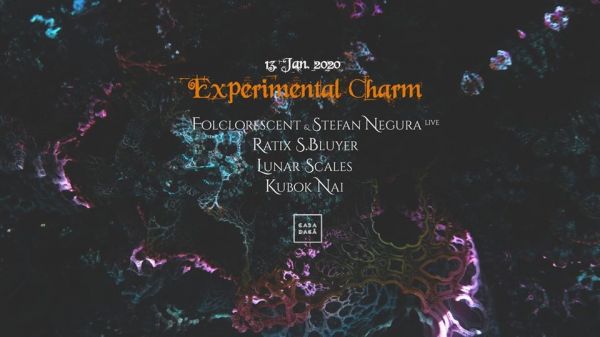 Experimental Charm at Casa Dacă