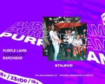 Purple Lamb | Stilevo