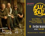 Cuibul Live in Albion