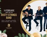 Dusty Strings Band
