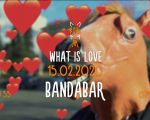 What is Love
