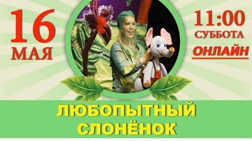 Online - ЛЮБОПЫТНЫЙ СЛОНЁНОК