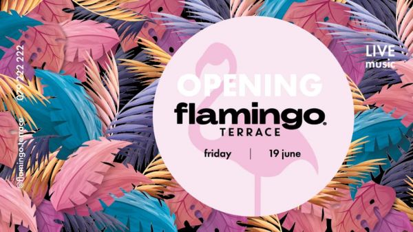 OPENING Flamingo Terrace