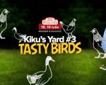 Kiku's Yard #3 | Tasty Birds
