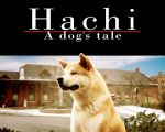 Hachiko: Povestea unui câine