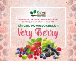 BERRY FAIR