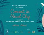 Concert in Micul Cluj