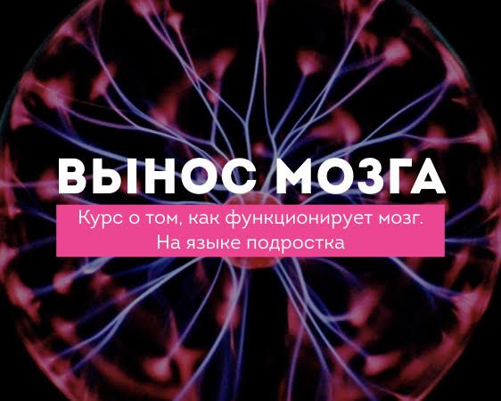 ВЫНОС МОЗГА. Как функционирует мозг - на языке подростко