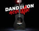 Dandelion Rock Fest