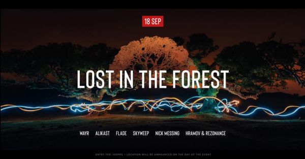 Lost In The Forest