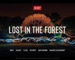 Lost In The Forest