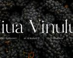 Ziua Națională a Vinului alături de DIVUS WINERY