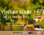 Vinuri Mari de la Crame Mici