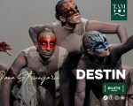 DESTIN