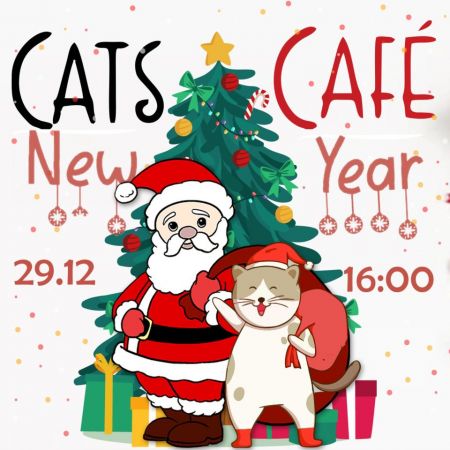Matineu la Cats Cafe