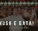 Amush e gata! Merry X-Mas! | DK