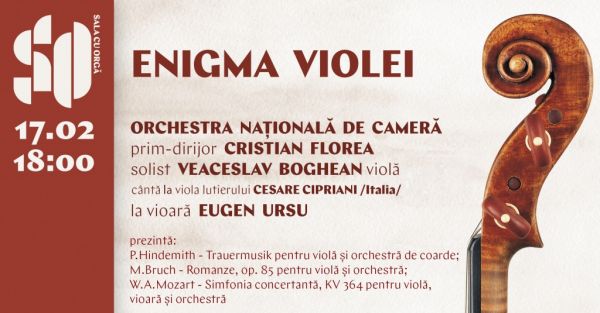 ENIGMA VIOLEI