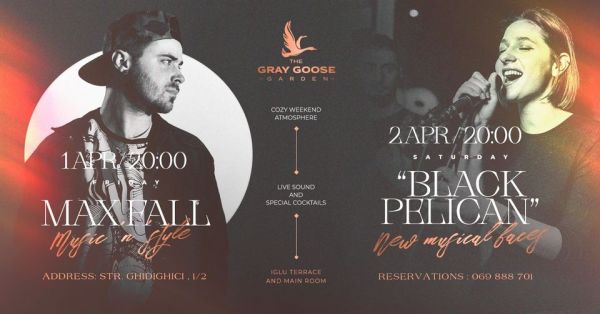 Max Fall | Black Pelican