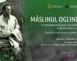 MĂSLINUL OGLINDIT