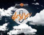 Concertul Infinite Desire